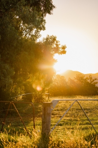 Farm gates bathed in golden afternoon light at sunset - Australian Stock Image