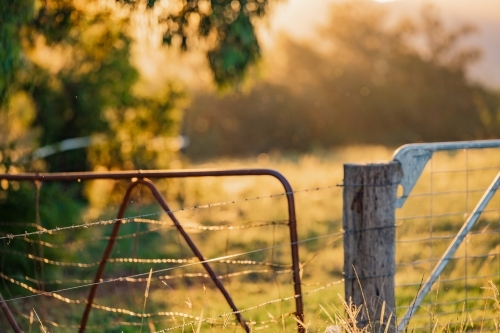 Farm gates bathed in golden afternoon light at sunset - Australian Stock Image