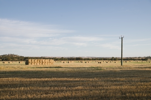 Farm landscape in Summer in the Avon Valley of Western Australia - Australian Stock Image