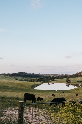 farm landscapes - Australian Stock Image