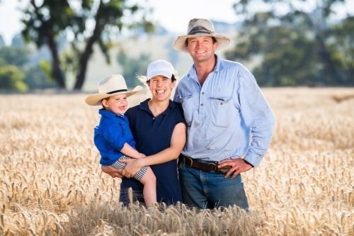 Farming family with one child in wheat crop - Australian Stock Image