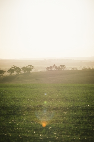 Farming landscape in the Avon Valley region of Western Australia - Australian Stock Image