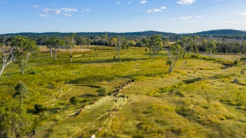 Farmland - Australian Stock Image