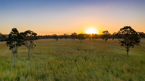 Farmland - Australian Stock Image