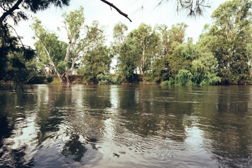 Fast flowing Murrumbidgee River near Mundarlo, NSW - Australian Stock Image