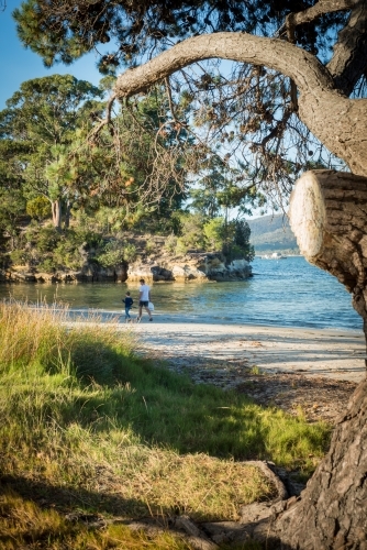 Father and son walking along beach with fishing rods - Australian Stock Image