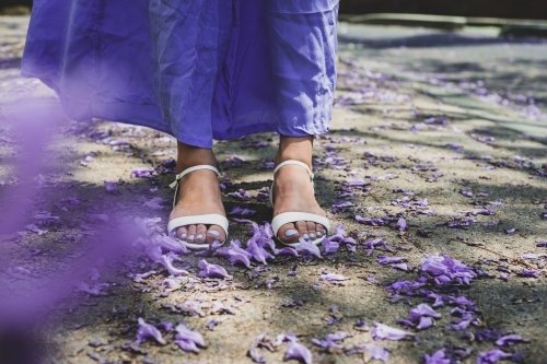 feet and jacarandas - Australian Stock Image