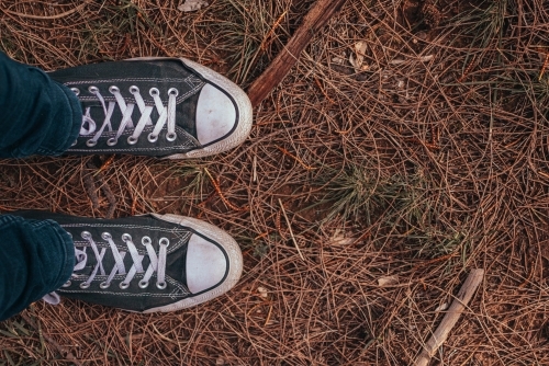 Feet in Old Sneakers standing on Dry Pine Needles. - Australian Stock Image