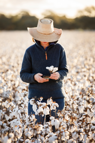 Female farmer in a cotton crop - Australian Stock Image