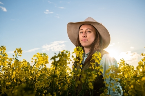 Female farmer inspects canola crop in late-afternoon light - Australian Stock Image