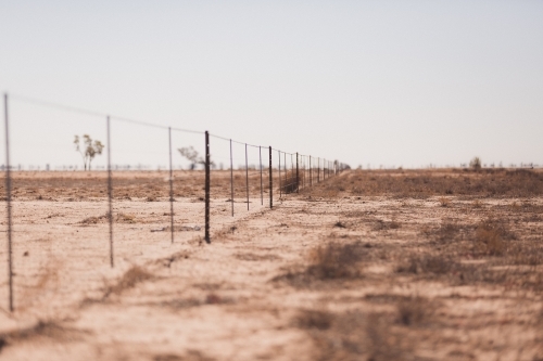 Fence line in a drought paddock - Australian Stock Image