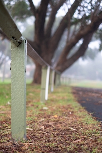 fence post and a tree covered in dense fog - Australian Stock Image