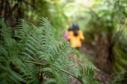 Ferns and children walking - Australian Stock Image