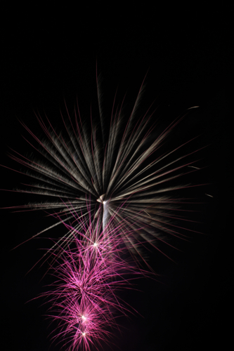 Fireworks - Australian Stock Image