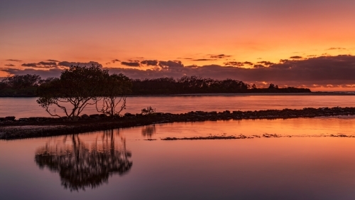 First Light/Sunrise looking across a tranquil river with silhouetted trees - Australian Stock Image