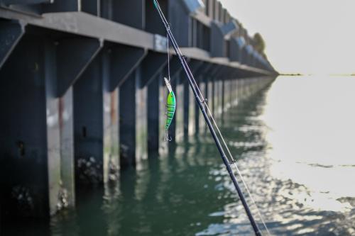 Fishing lure hanging from fishing rod