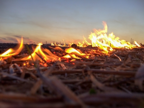 Flames creeping through dry grass - Australian Stock Image