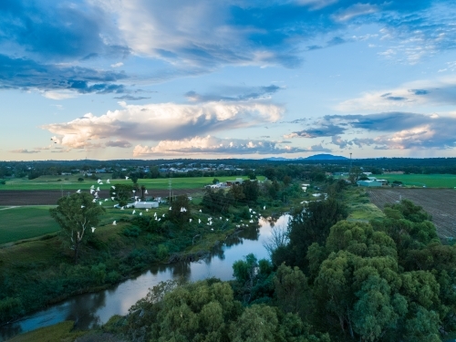 Flock of birds flying over Hunter River and farmland in evening with distant rain clouds - Australian Stock Image