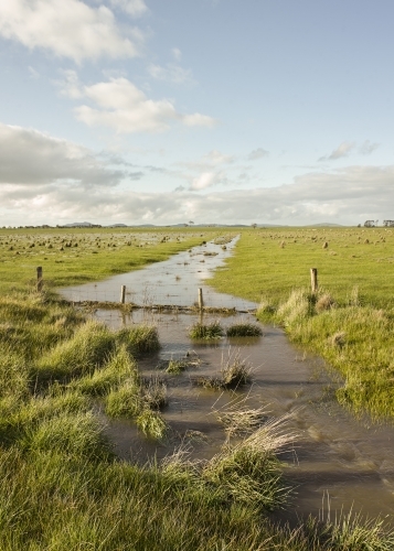 Floodwaters and fence line on paddock - Australian Stock Image