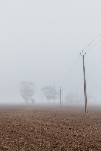 Foggy weather country paddock, power line and trees - Australian Stock Image