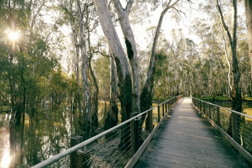 Footbridge walking trail over the Gunbower Creek at Koondrook, Victoria - Australian Stock Image