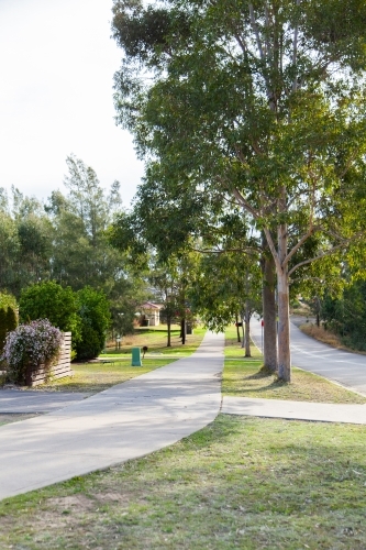 Footpath beside trees and road in Singleton - Australian Stock Image