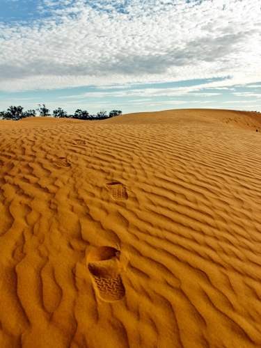 footprints leading up a sandhill in the outback - Australian Stock Image