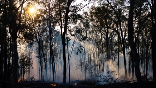 Forest fire during burning off - Australian Stock Image