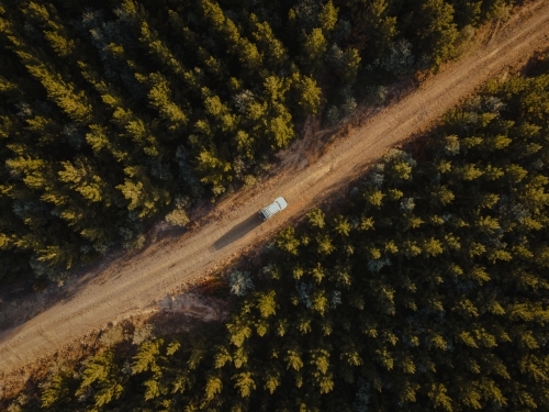 Four wheel drive exploring on dirt road in pine forest - Australian Stock Image