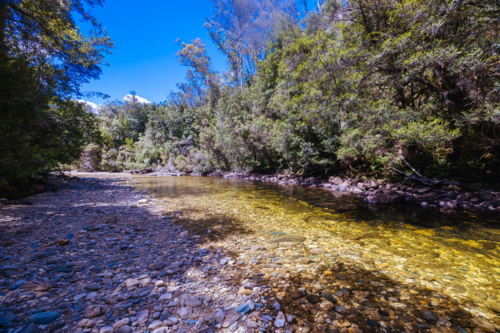 Franklin River in Franklin-Gordon Wild Rivers National Park on a hot summer's day - Australian Stock Image