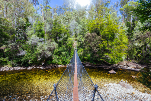 Frenchmans Cap Suspended Bridge in Franklin-Gordon Wild Rivers National Park on a hot summer's day - Australian Stock Image