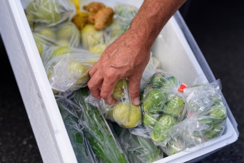 Fresh produce packaged in boxes ready for pick up direct from the farmer - Australian Stock Image