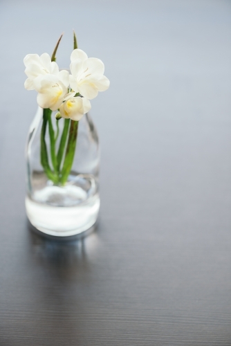 Fresh white freesia flowers in glass vase on table, with copy space. - Australian Stock Image