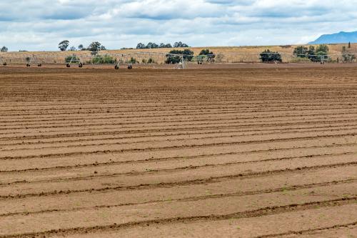 Freshly planted field with irrigator - Australian Stock Image