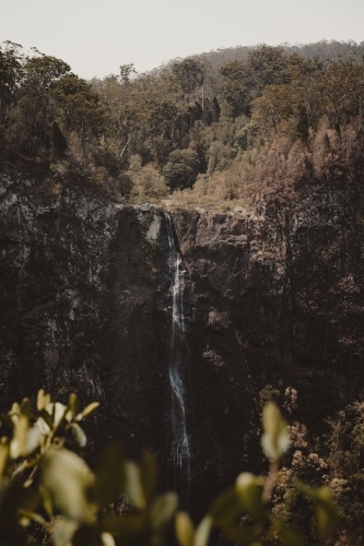 Front on view of Ellenborough Falls from across the valley.