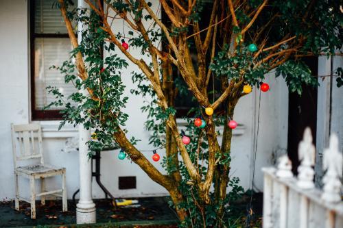 Front yard with colourful lights on tree - Australian Stock Image