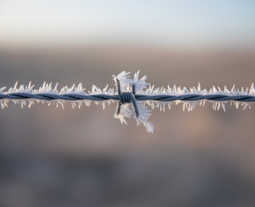 Frozen Barbed Wire - Australian Stock Image