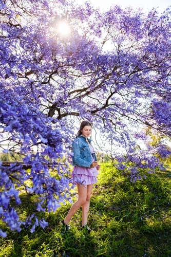 full length happy brunette teenage girl standing among flowering branches of purple jacaranda tree - Australian Stock Image