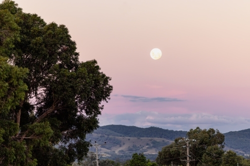 Full moon rising in pink and purple twilight sky - Australian Stock Image