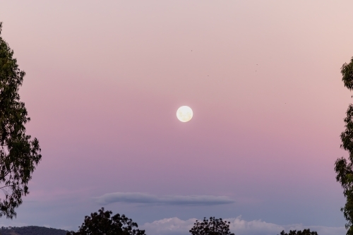 Full moon rising in pink and purple twilight sky - Australian Stock Image