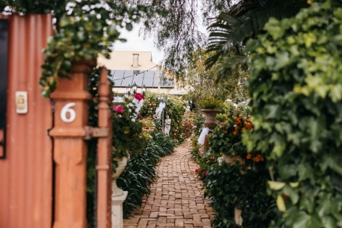 Garden path - Australian Stock Image