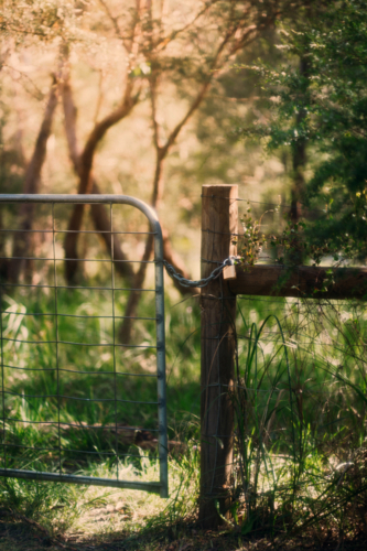 Gate with lock - Australian Stock Image