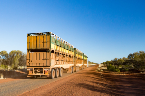 Gemtree, Australia - July 6 2015: An iconic 3 trailer Australian road train travels along road - Australian Stock Image