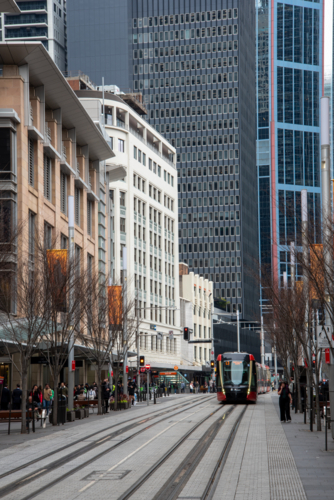 George Street Sydney with light rail train and bare street trees - Australian Stock Image