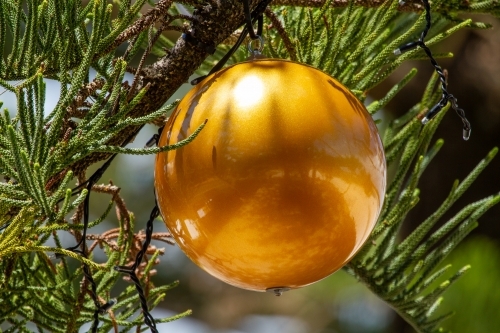 Giant Christmas baubles and decorations on tree. - Australian Stock Image