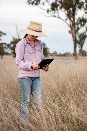 Girl using her ipad in the paddock on a farm - Australian Stock Image