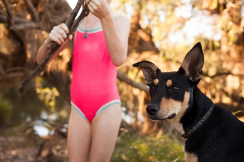 Girl with a pink swimsuit standing with a black and tan dog - Australian Stock Image