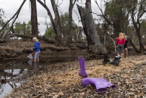 Girls Catching Tadpoles in the Creeek with Boots in Foreground - Australian Stock Image