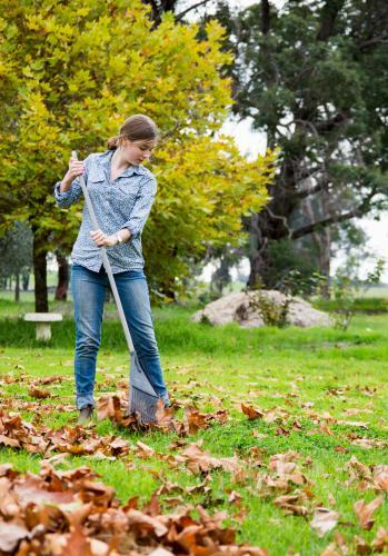 Girls raking fallen autumn leaves in garden - Australian Stock Image