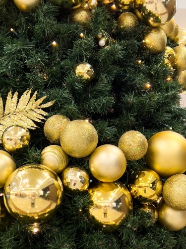 Golden metallic balls decorating a christmas tree with reflections - Australian Stock Image